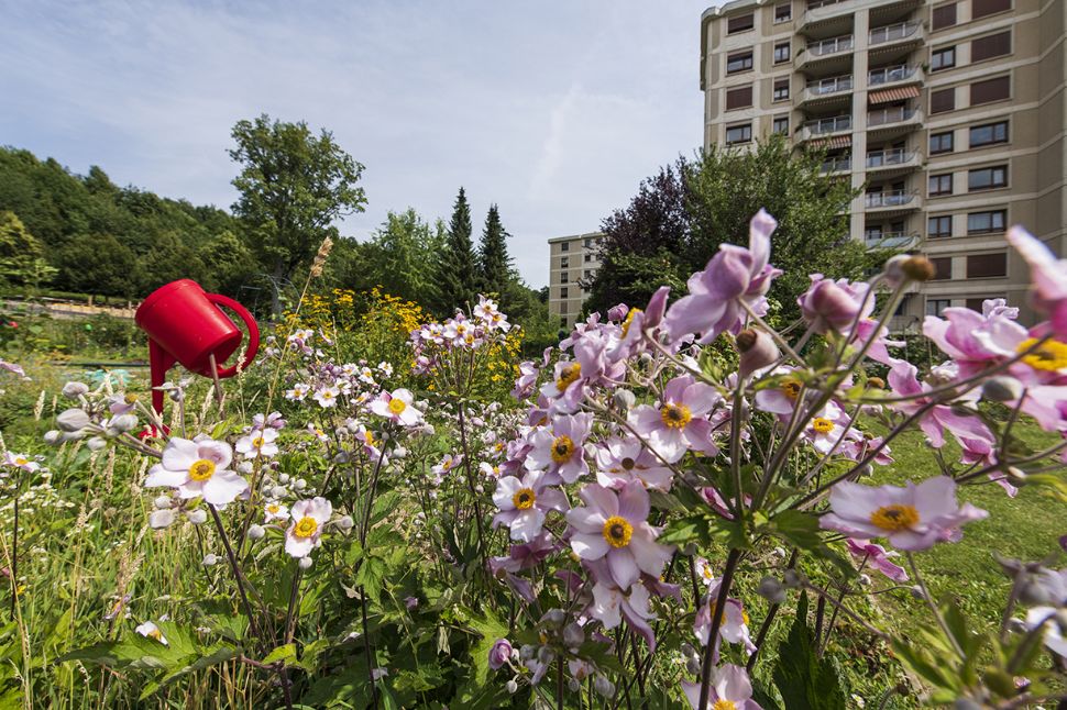 &copy; Ville de Lausanne
