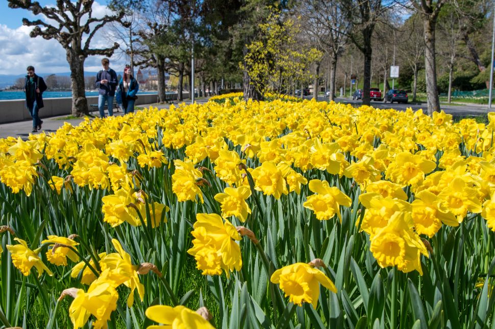 &copy; Mathilde Imesch/Ville de Lausanne