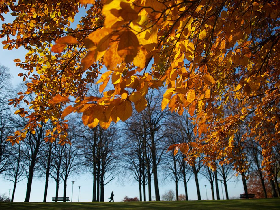 &copy; Marino Trotta – Ville de Lausanne