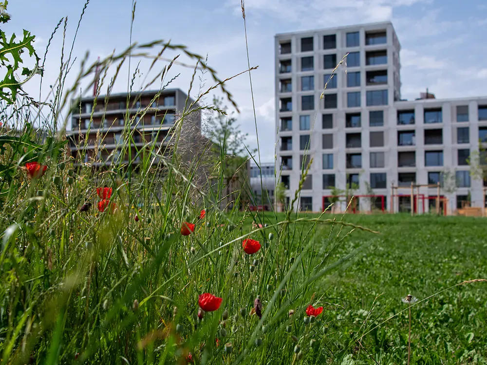 &copy; Mathilde Imesch – Ville de Lausanne