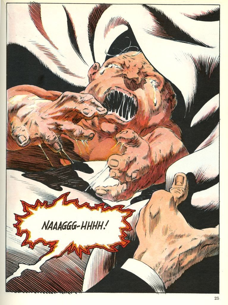 © Anomalie_Bruce Jones (scénario), Bernie Wrightson (dessin), La Foire aux monstres, Albin Michel, 1984 [1984]