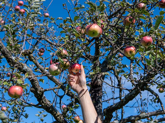&copy; Mathilde Imesch – Ville de Lausanne