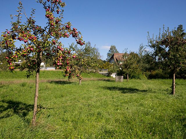 &copy; Benoît Renevey