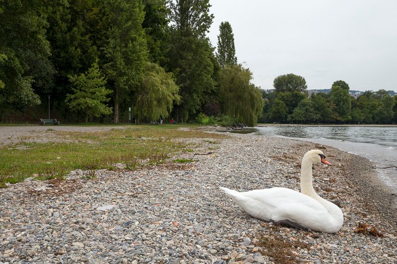 &copy; Benoît Reveney