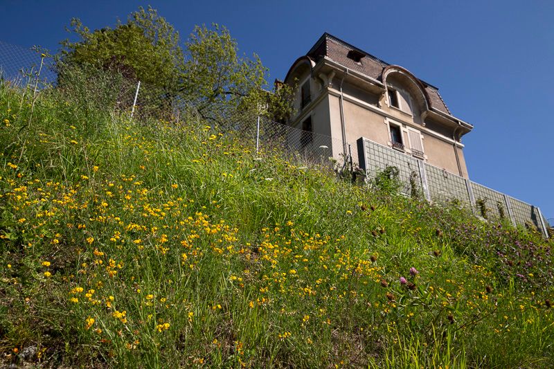 &copy; Benoît Renevey