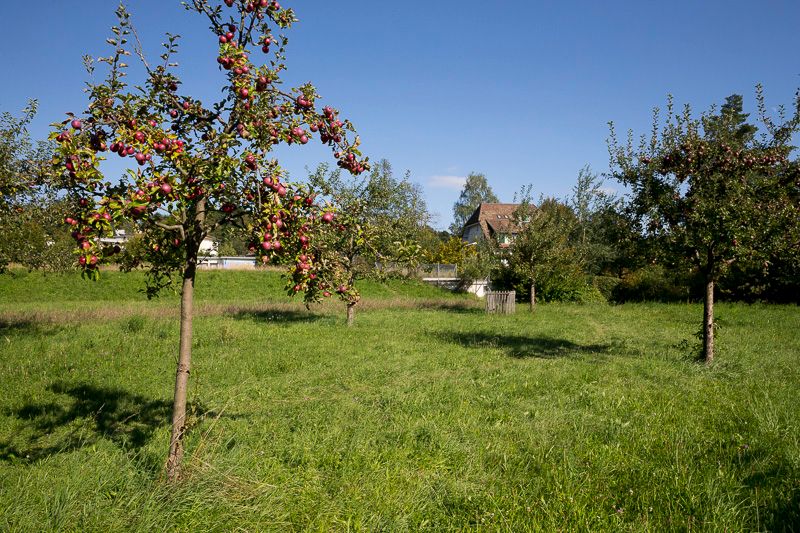 &copy; Benoît Renevey