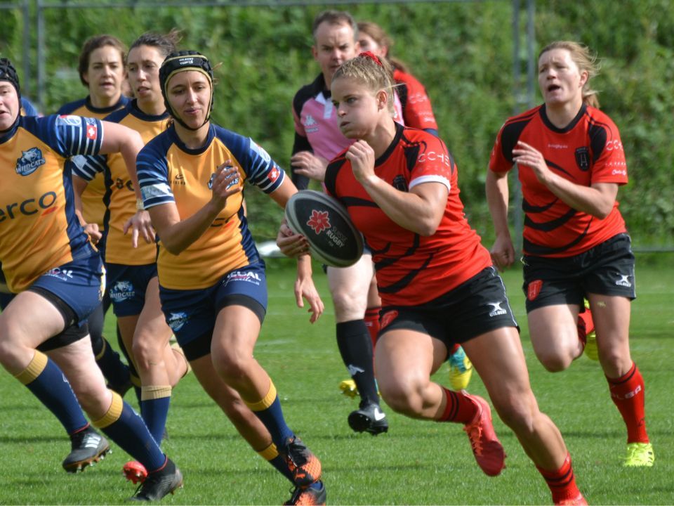 &copy; Albaladejo Rugby Club
